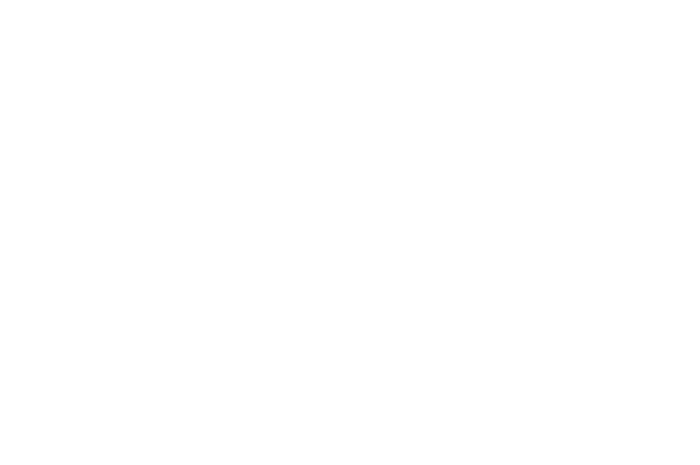 Geosynergie logo