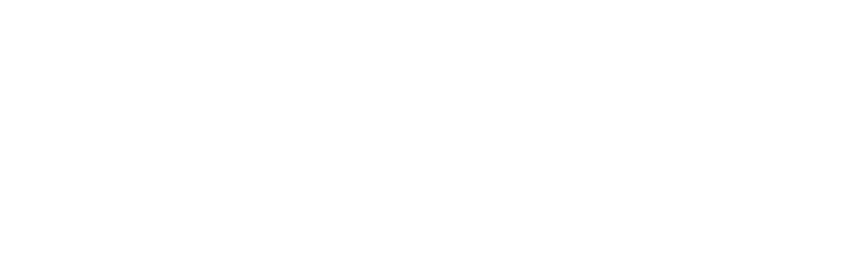 logo geosynergie